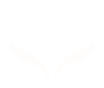 Personalised Care icon